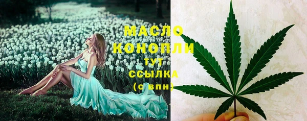 твердый Елизово