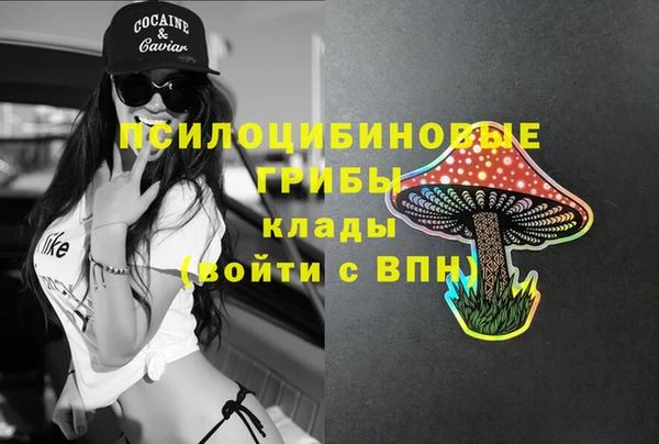 jwh Ельня