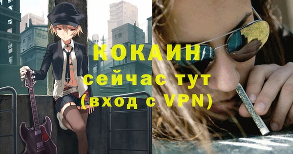 твердый Елизово