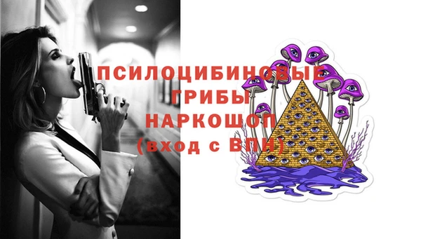 jwh Ельня